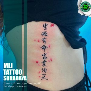 WhatsApp Image 2026-01-24 at 23.28.17